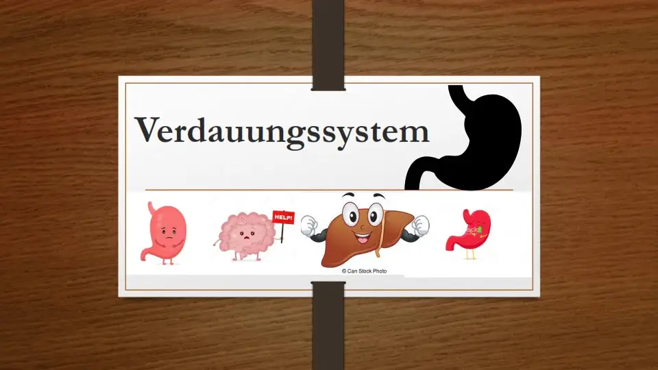 Verdauungssystem Pflege Aufklärung PDF