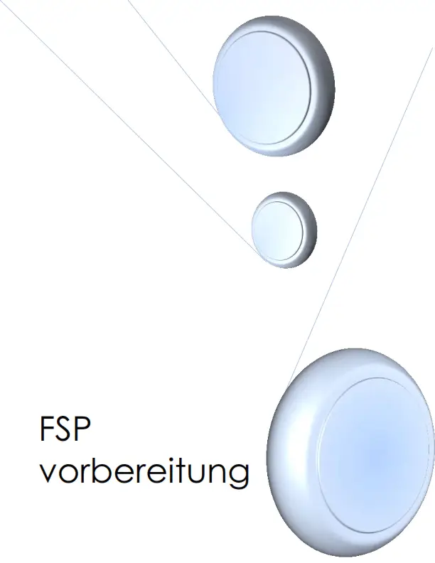 FSP Therapie Vorbreitung ( PDF )