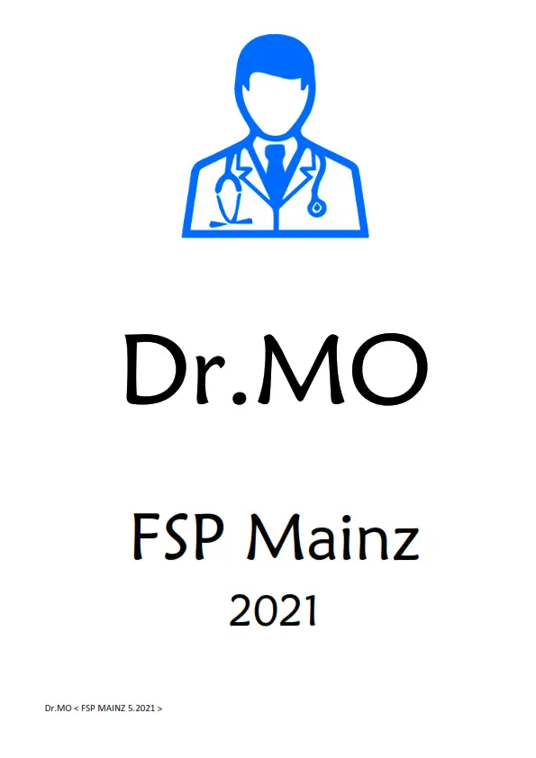 FSP Mainz 2021 Vorbereitung ( PDF )