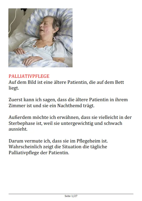 Bildbeschreibung Pflege PDF