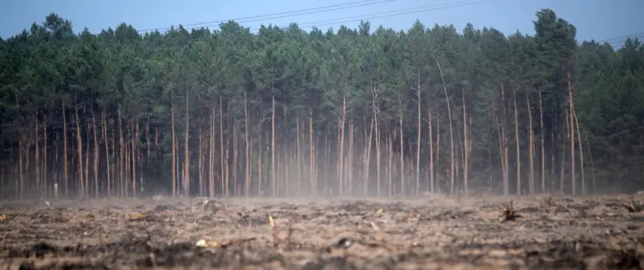 Wälder im Klimawandel Auswirkungen B1- B2